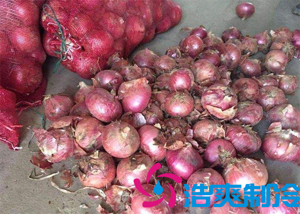 建造1000噸洋蔥保鮮冷庫安裝費(fèi)用是多少？
