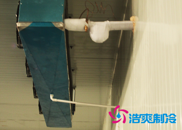 建造氣調(diào)保鮮冷庫(kù)安裝造價(jià)多少錢(qián)一平米？_浩爽制冷