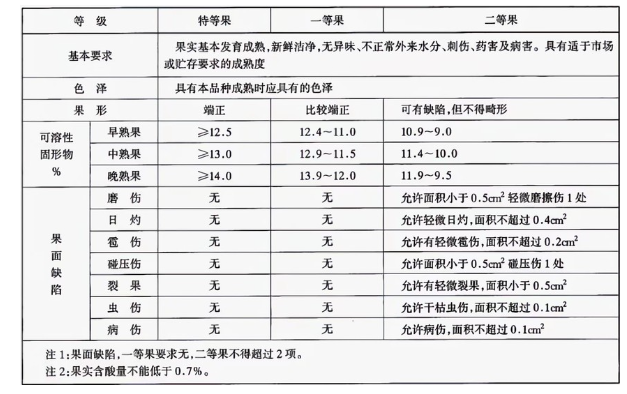 李子冷庫建造完成后如何用于儲存的？這些你都知道嗎