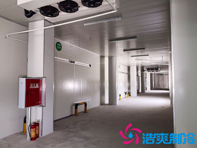 芭蕉氣調(diào)保鮮庫(kù)安裝如何確保果實(shí)的長(zhǎng)期儲(chǔ)存？_浩爽制冷