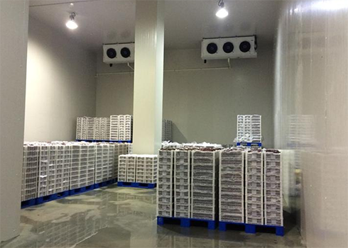 建造安裝1000㎡冷庫造價大概需要多少費用？_浩爽制冷