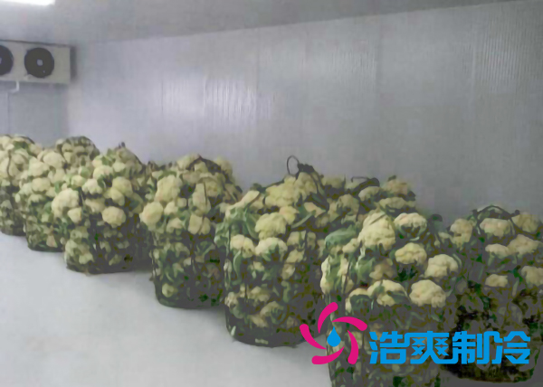 云南500平米氣調(diào)冷庫安裝造價大概是多少？_浩爽制冷