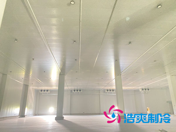 建一個(gè)100平方的乳制品冷凍庫(kù)要多少錢？