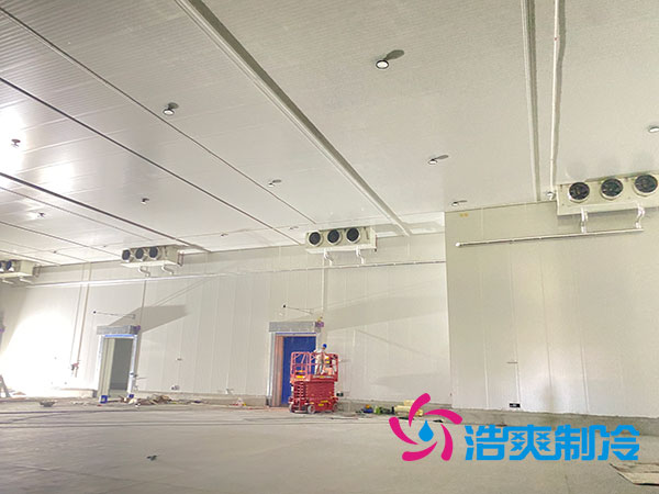 建一個(gè)100平方的乳制品冷凍庫(kù)要多少錢？