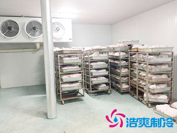 肉類排酸冷庫標(biāo)準(zhǔn)溫度是多少？-浩爽制冷