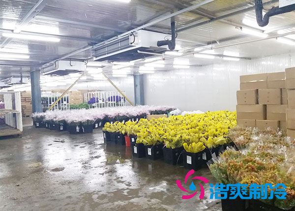 做個鮮花冷庫要多少錢？-浩爽制冷