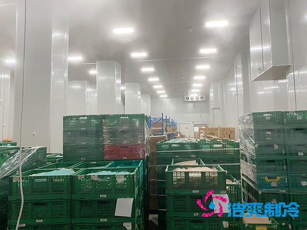 夏季蔬菜保鮮難？500噸冷庫(kù)建造價(jià)格揭秘！